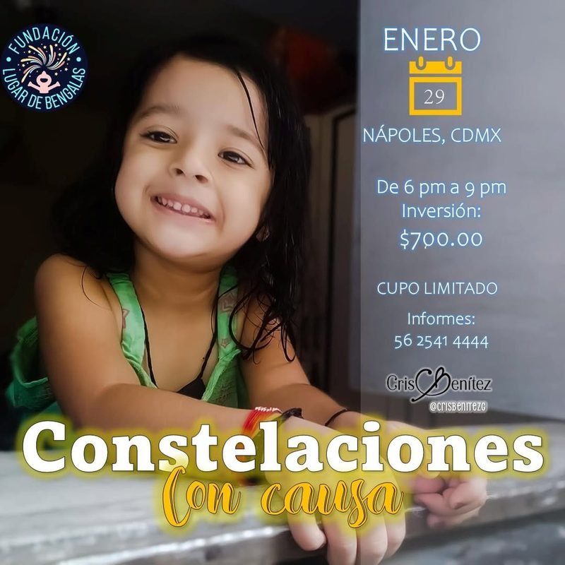 Constelaciones con Causa, 29 de enero, Nápoles CDMX